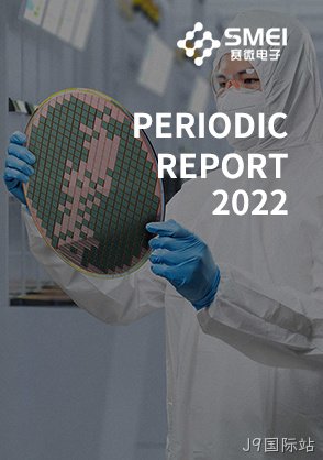2022年半年度报告